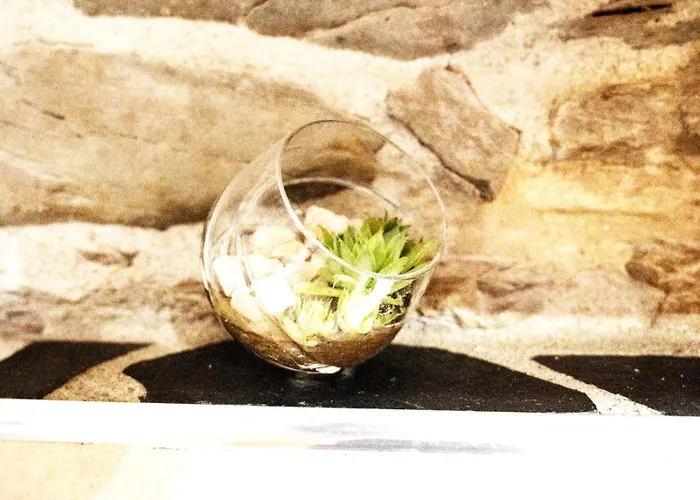 Casa Da Ferreira_vila Real